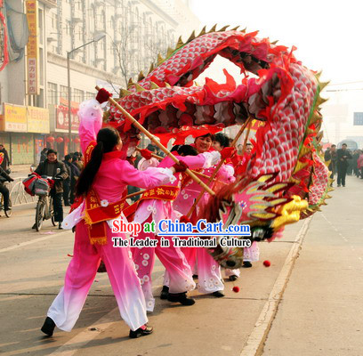 Chinese Classical Dragon Dance Costume for Women