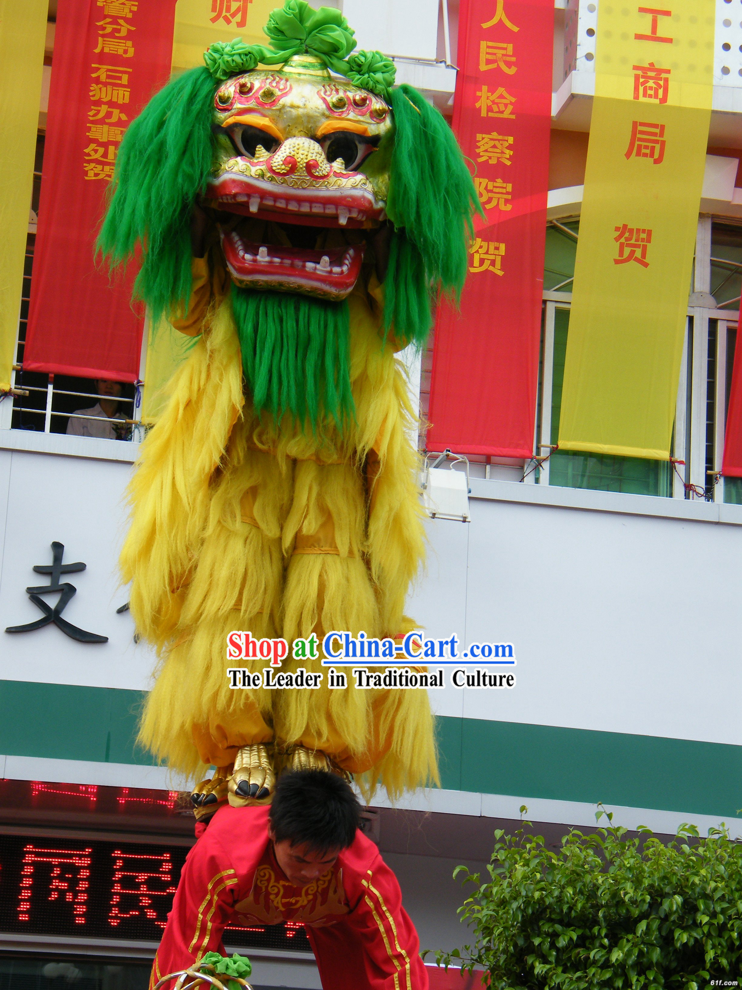 Green Hair Peking Northern Lion Dance Outfit Complete Set