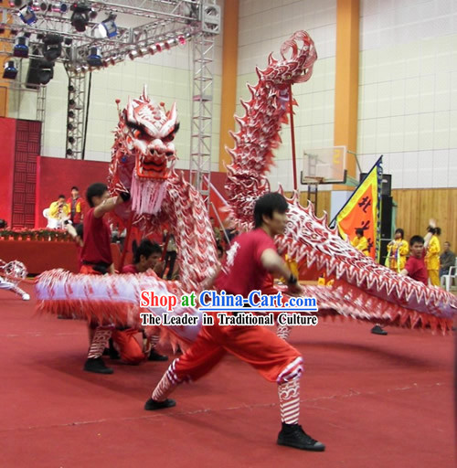 Supreme Business Opening and Festival Celebration Luminous Dragon Dance Costumes Complete Set
