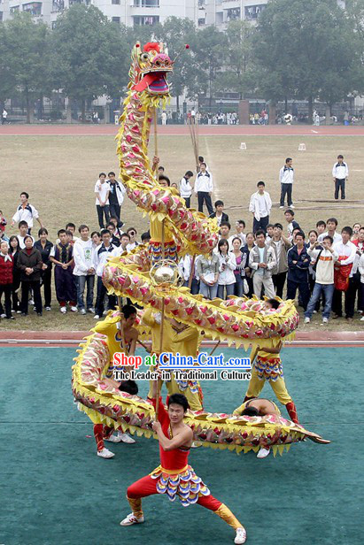 Traditional Lightweight Net Dragon Dance Costumes Complete Set