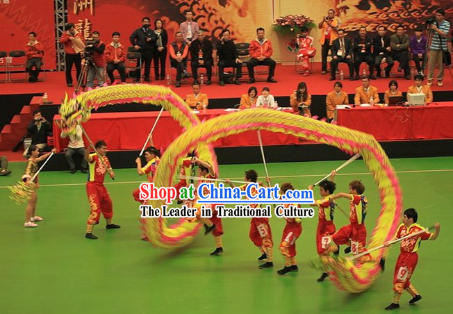 Competition and Parade Glowing In Dark Dragon Dancing Costume Complete Set