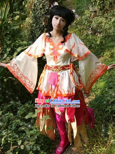 Ancient Chinese Swords Woman Costumes and Wig