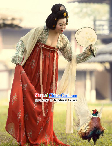 Ancient Chinese Tang Dynasty Lady Clothing Complete Set for Women