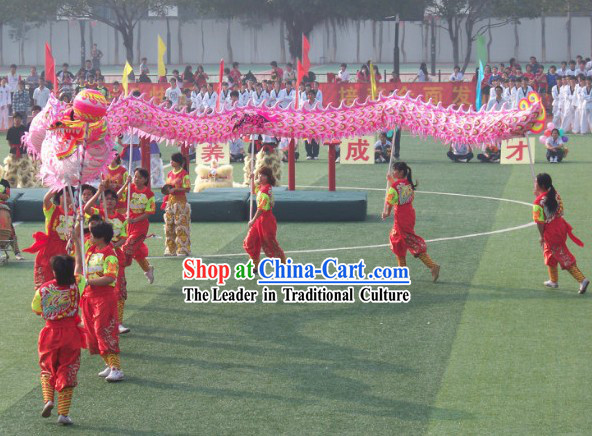 Professional Competition and Parade Luminous Dragon Dancing Costume Complete Set