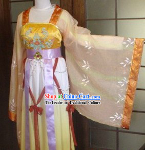 Ancient Chinese Tang Dynasty Style Lady Clothing