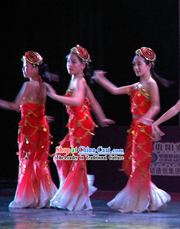 Traditional Chinese Fish Dance Costumes Complete Set