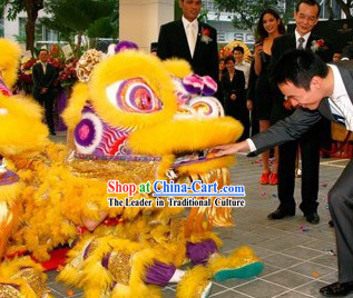 Wish You a Happy New Year Supreme Lion Dance Costumes Complete Set