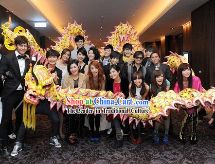 Wish You a Happy New Year Luminous Dragon Dance Costumes Complete Set