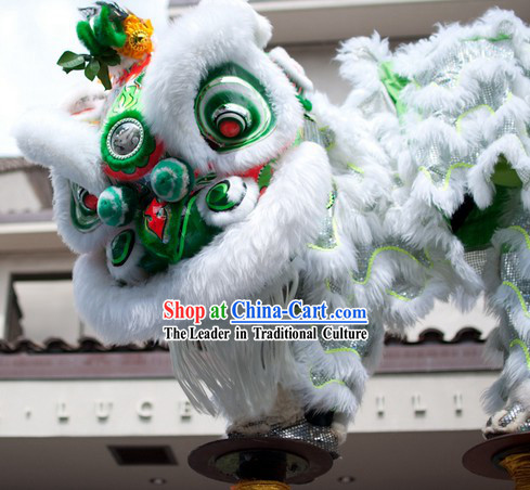 Friendly Lovely Southern Hoksan Lion Dancing Head and Costume Complete Set