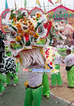 Cultural Chinese Lion Dance Costume Supplies