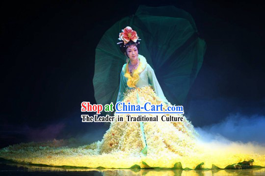 Li Yugang Jing Hua Shui Yue Concert Show Costume
