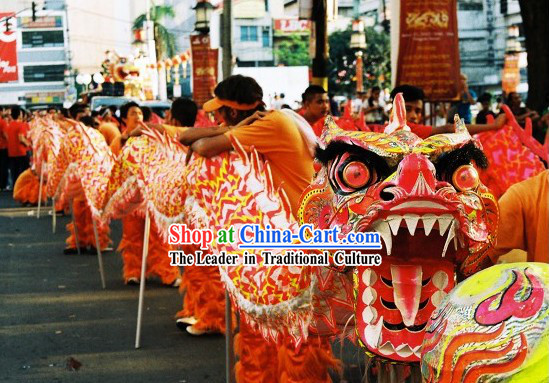 Professional Competition and Parade Glow in the Dark Dragon Dance Costumes Complete Set