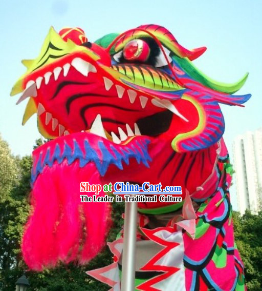 Top Chinese Glow in Dark Luminated Dragon Dance Head and Costumes Complete Set