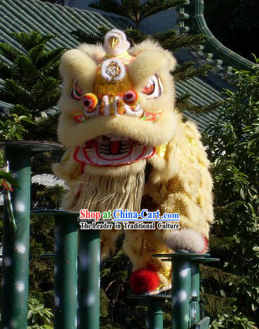 Most Popular Chinese Huang Feihong Master Lion Dance Costumes Full Set