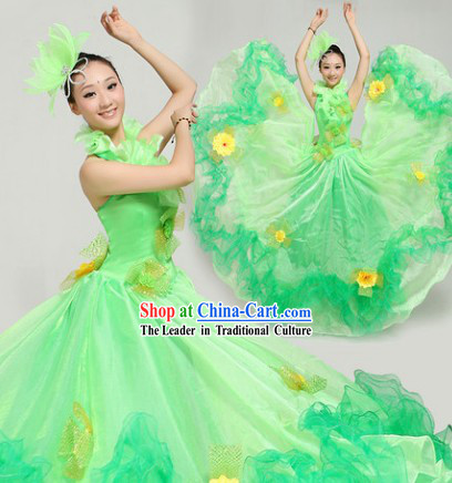 Top Green Flower Dance Costumes and Hairdress