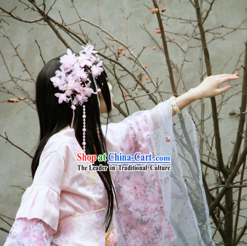 Chinese Classicial Princess Pink Cosplay Costumes and Hair Accessories Complete Set