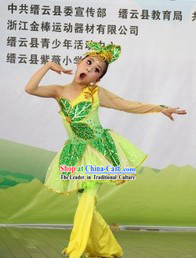 Professional Custom Tailored Children Dance Costumes