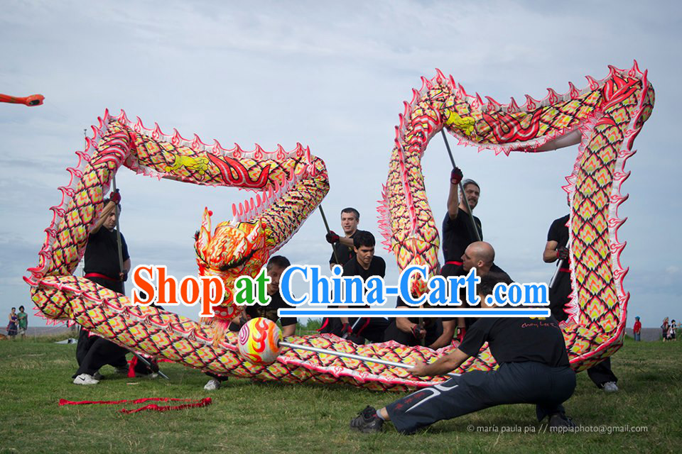 Top Quality Luminous Dragon Dance Equipments Complete Set