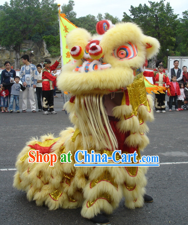 lion and dragon Dance