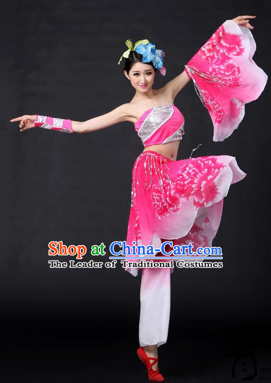 Chinese Classical Girls Dance Costumes Leotards Dance Supply Clothes and Hair Accessories Complete Set