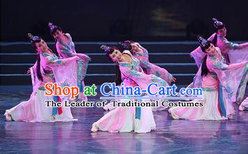 Chinese Classic Dance Costume Complete Set