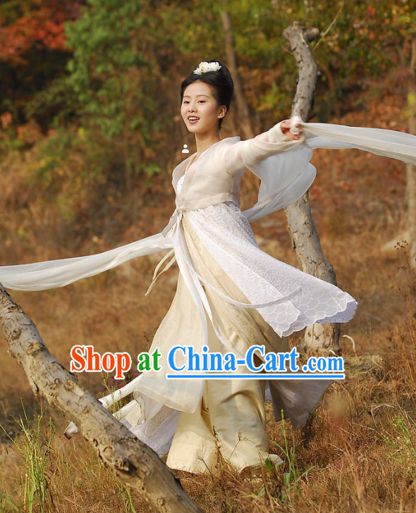 Ancient Chinese Fairy Movies Costume and Hair Accessories