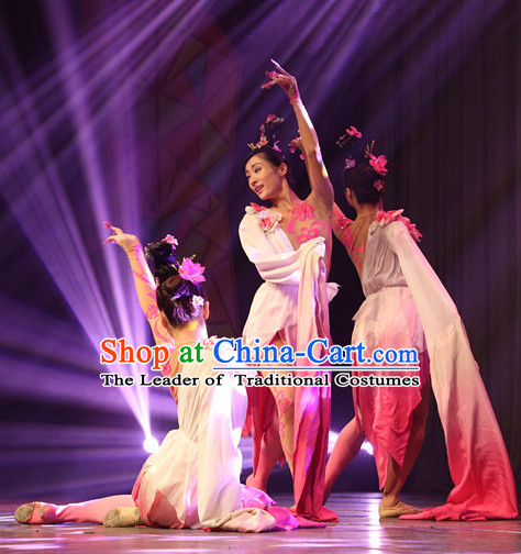 Chinese Classical Long Sleeves Dance Costumes Complete Set for Women or Gilrs