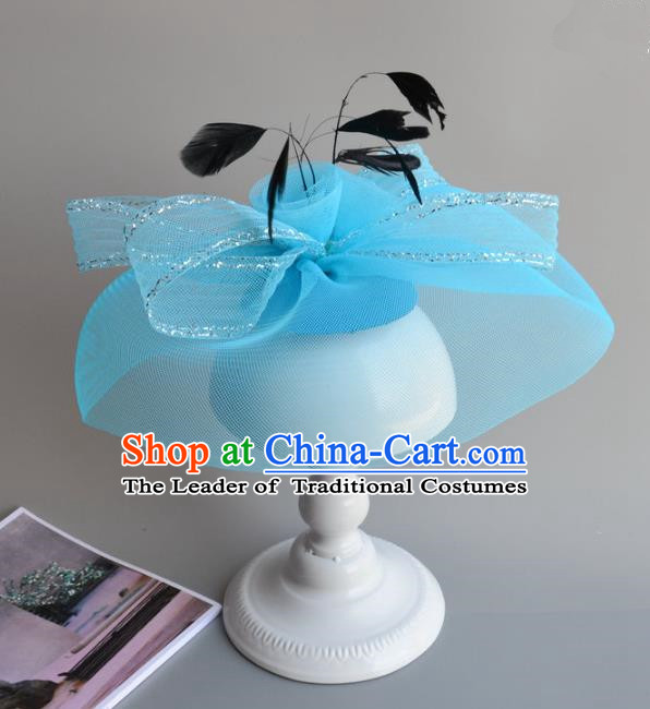 Handmade Baroque Hair Accessories Model Show Blue Veil Hair Stick, Bride Ceremonial Occasions Headwear for Women