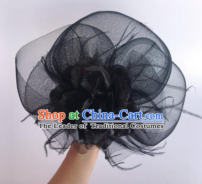 Handmade Baroque Hair Accessories Model Show Black Veil Feather Hair Stick, Bride Ceremonial Occasions Headwear for Women