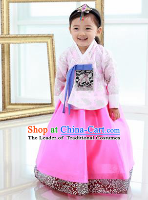 Traditional Korean Handmade Formal Occasions Embroidered Baby Princess Hanbok Pink Dress Clothing for Girls