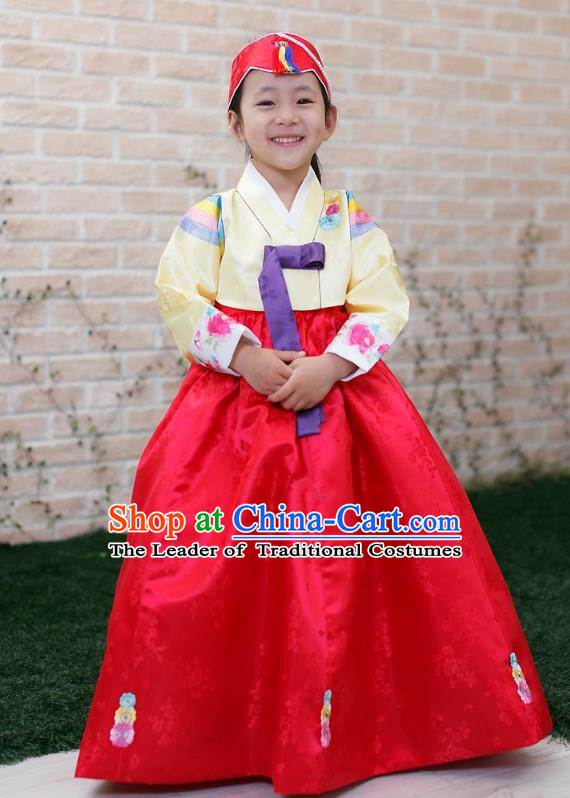 Traditional Korean Handmade Formal Occasions Costume Embroidered Baby Brithday Hanbok Red Dress Clothing for Girls