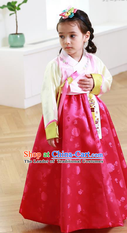Traditional Korean Handmade Formal Occasions Costume Embroidered Baby Princess Pink Blouse and Red Dress Hanbok Clothing for Girls