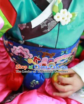 Traditional Korean Accessories Embroidered Blue Waist Belts, Asian Korean Fashion Wedding Tassel Waistband for Kids