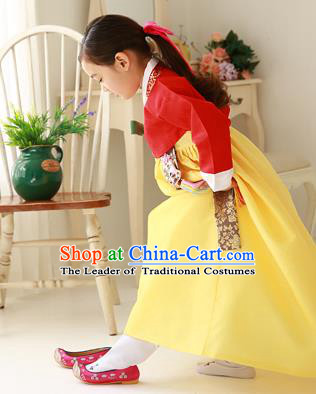 Asian Korean Traditional Handmade Formal Occasions Costume Palace Princess Embroidered Red Blouse and Yellow Dress Hanbok Clothing for Girls