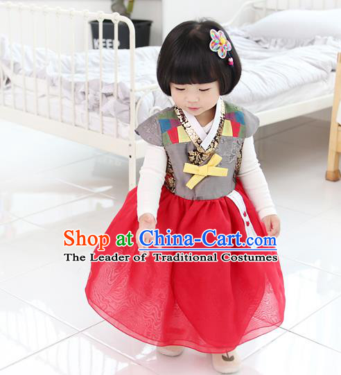 Asian Korean National Traditional Handmade Formal Occasions Girls Embroidery Hanbok Costume Red Dress Complete Set for Kids