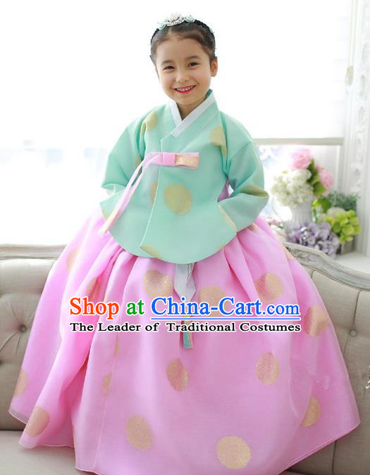 Traditional Korean National Handmade Formal Occasions Girls Hanbok Costume Embroidery Green Blouse and Pink Dress for Kids