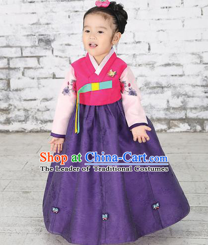Traditional Korean National Handmade Formal Occasions Girls Hanbok Costume Embroidered Red Blouse and Purple Dress for Kids