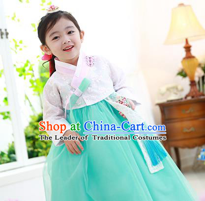 Traditional Korean National Handmade Formal Occasions Girls Hanbok Costume Embroidered White Lace Blouse and Green Dress for Kids