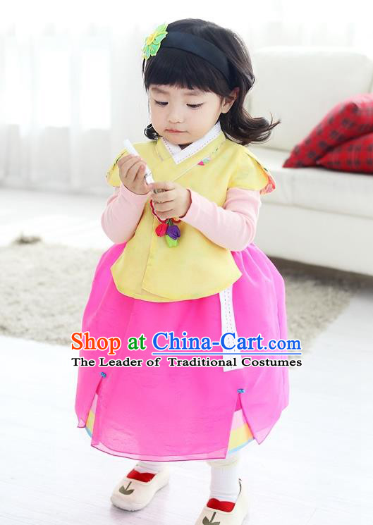 Traditional Korean National Handmade Formal Occasions Girls Embroidery Hanbok Costume Yellow Blouse and Pink Dress Complete Set for Kids