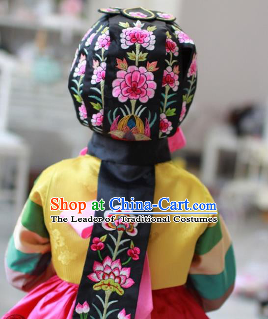 Traditional Korean Hanbok Clothing Fashion Apparel Hanbok Costume and Headwear