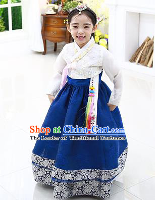 Asian Korean National Handmade Formal Occasions Embroidery White Blouse and Blue Dress Hanbok Costume for Kids