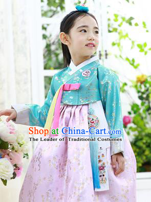 Asian Korean National Handmade Formal Occasions Embroidery Green Blouse and Pink Dress Hanbok Costume for Kids