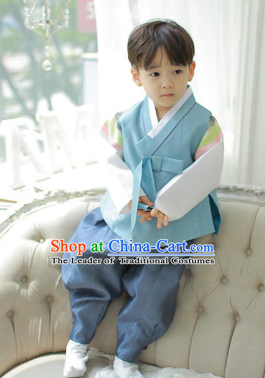 Asian Korean National Traditional Handmade Formal Occasions Boys Embroidery Blue Hanbok Costume Complete Set for Kids