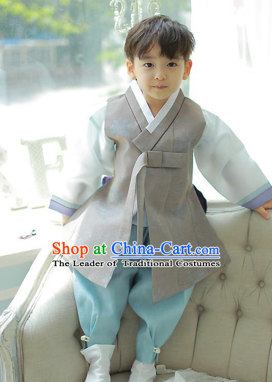 Asian Korean National Handmade Formal Occasions Embroidered Grey Palace Prince Hanbok Costume Complete Set for Boys