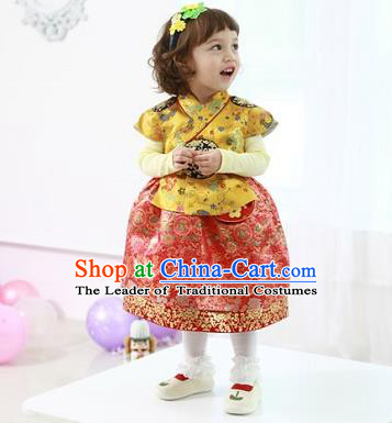 Asian Korean National Handmade Formal Occasions Wedding Bride Clothing Embroidered Yellow Blouse and Red Dress Palace Hanbok Costume for Kids