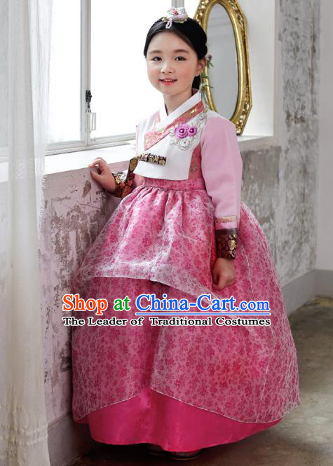 Asian Korean National Handmade Formal Occasions Wedding Bride Clothing Embroidered Blouse and Pink Dress Palace Hanbok Costume for Kids