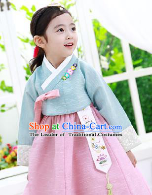 Asian Korean National Handmade Formal Occasions Clothing Embroidered Blue Blouse and Pink Dress Palace Hanbok Costume for Kids