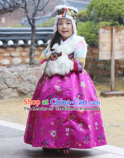 Asian Korean National Handmade Formal Occasions Wedding Girls Clothing White Vest and Rosy Dress Palace Hanbok Costume for Kids