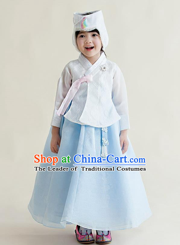 Korean National Handmade Formal Occasions Girls Clothing Palace Hanbok Costume Embroidered White Blouse and Blue Dress for Kids