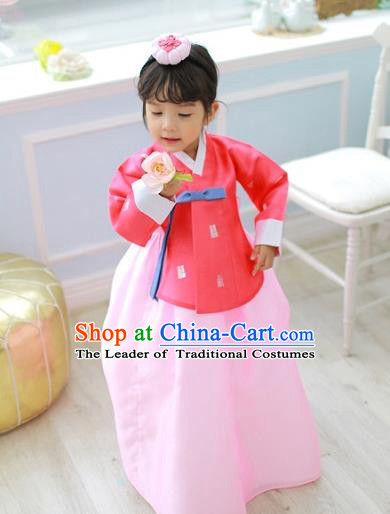 Korean National Handmade Formal Occasions Girls Clothing Palace Hanbok Costume Embroidered Red Blouse and Pink Blue Dress for Kids